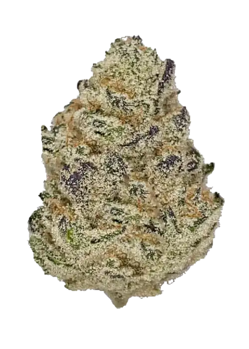 Platinum TK41
