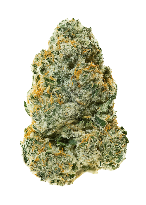 Firecracker