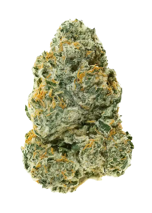 Firecracker