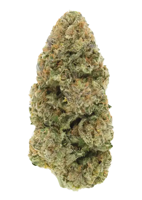 Grape Bubba