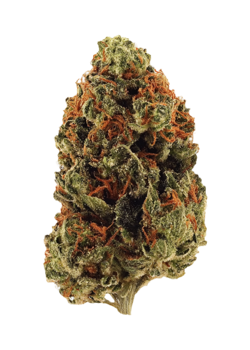 Nightmare OG
