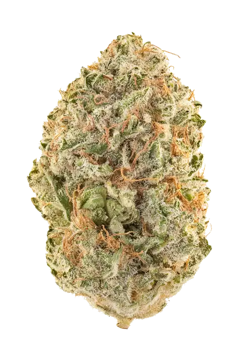 Tangie Banana