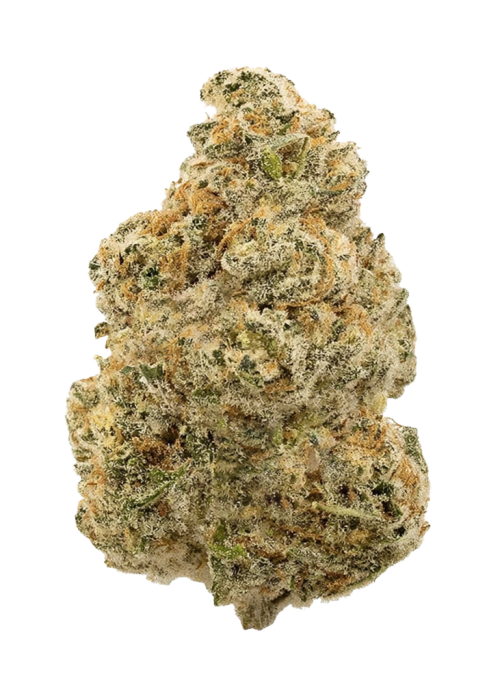BOG Bubble