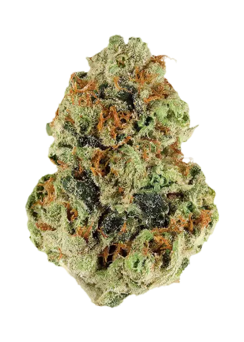 Snickerdoodle Haze