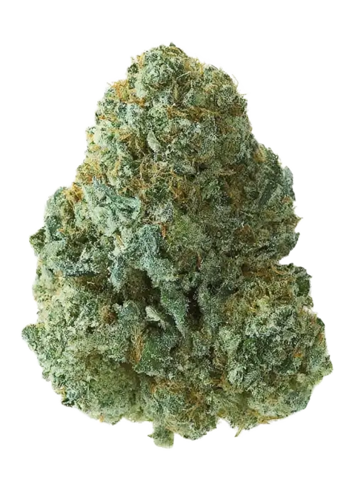 Flo OG