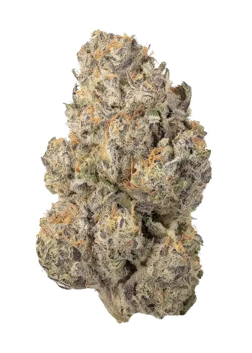 Gelato Sundae