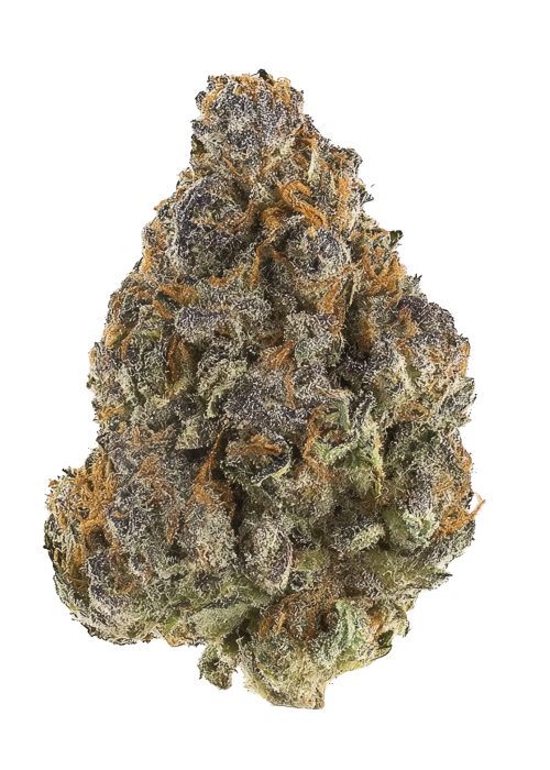 Grapefruit Zlushiez