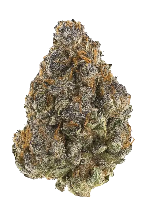 Grapefruit Zlushiez
