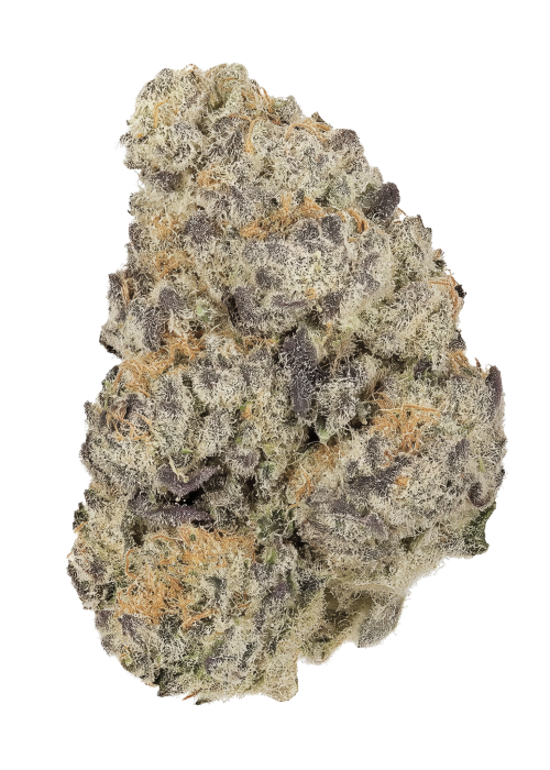 Margalope