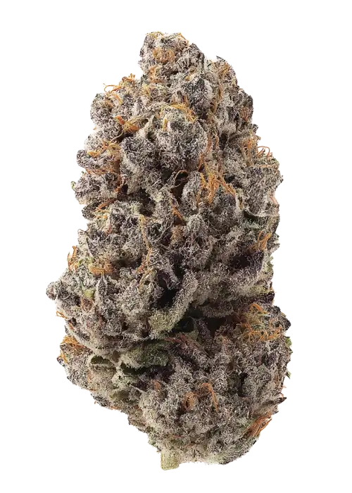 Purple Wreck