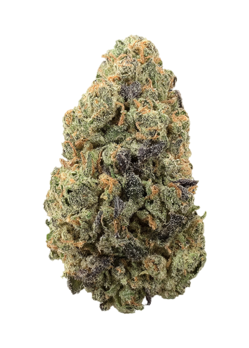 Alaskan Purple