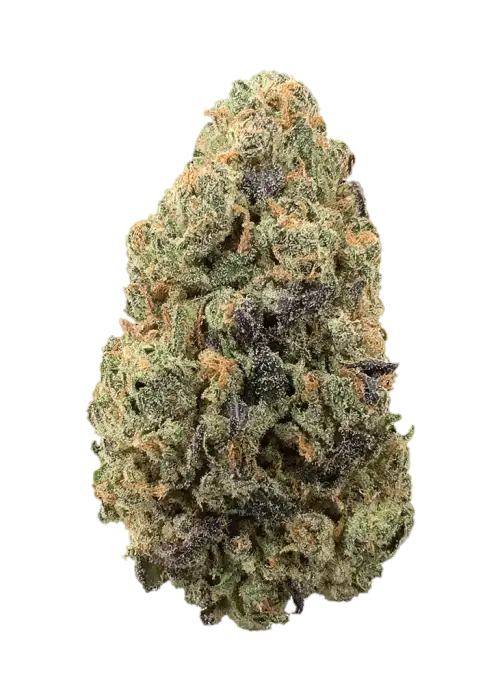 Alaskan Purple