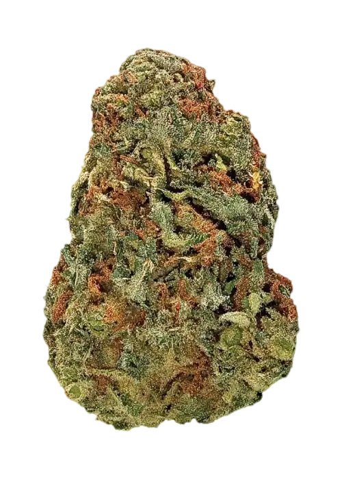 High Voltage