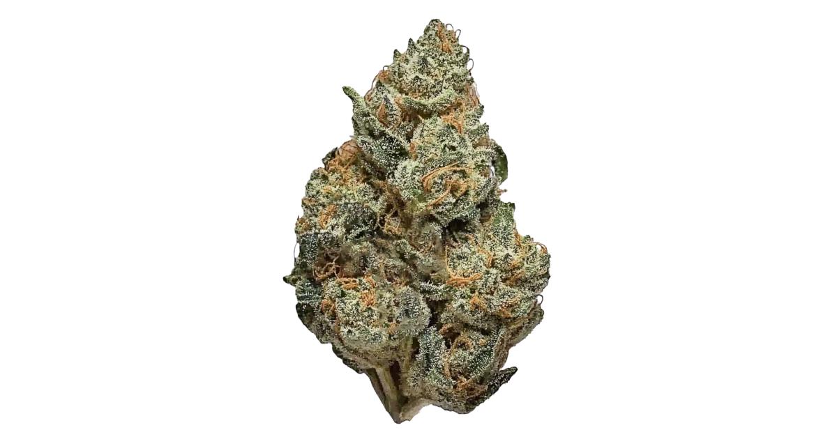Lamb s bread cannabis strain information growdiaries
