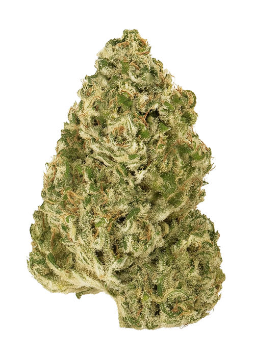 Aspen OG