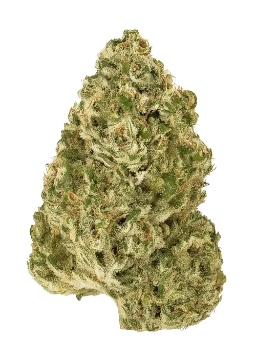 Aspen OG