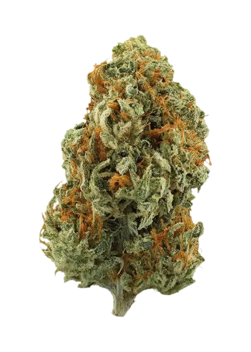Very Berry Haze