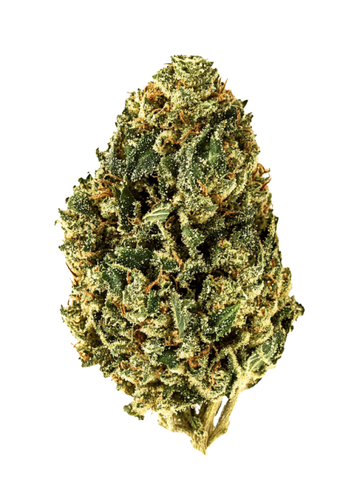 Jack Wreck