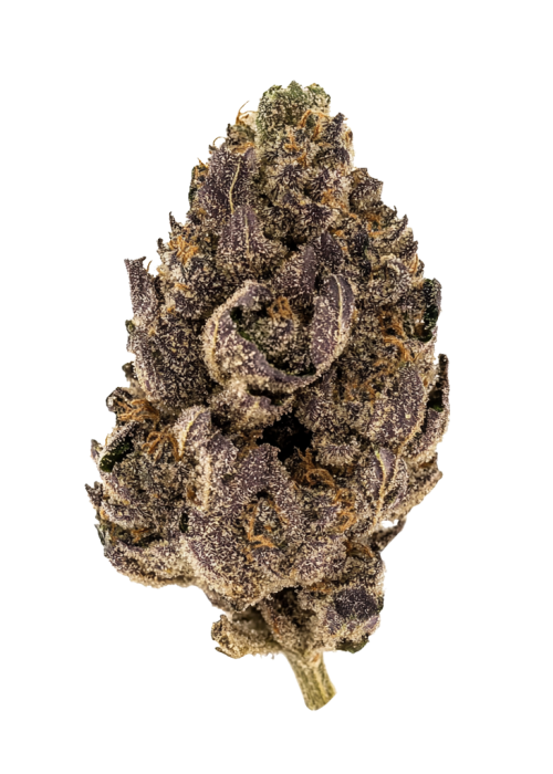 Kush Sorbet