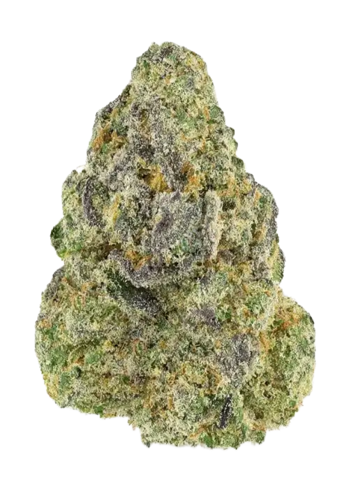 Cluster Bomb