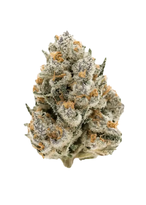 Pink Guava