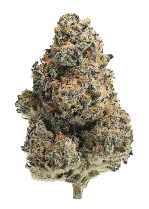 Green Line OG