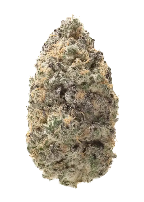 Sugar Breath