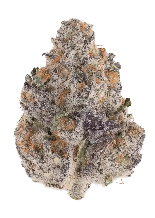 Super Sour Skunk
