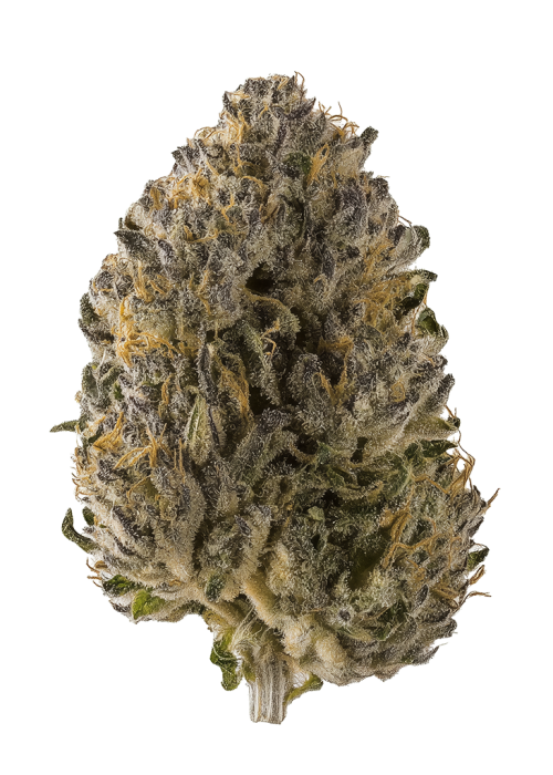Oregon Diesel