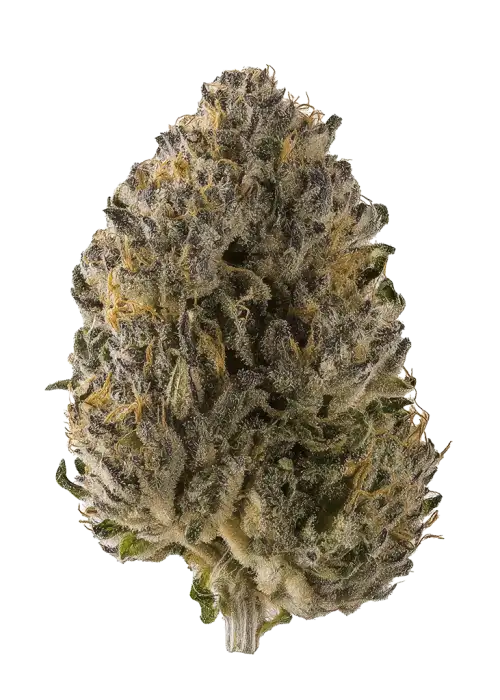 Oregon Diesel