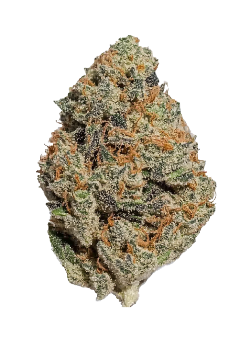 Jelly Donut