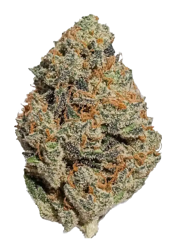 Jelly Donut