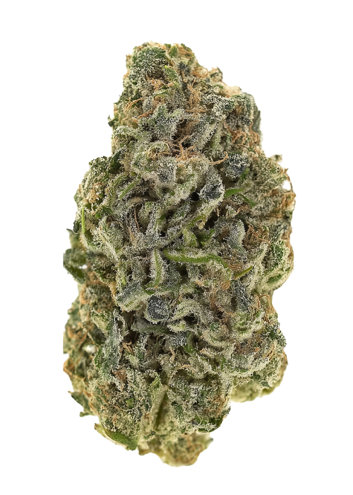King Chem