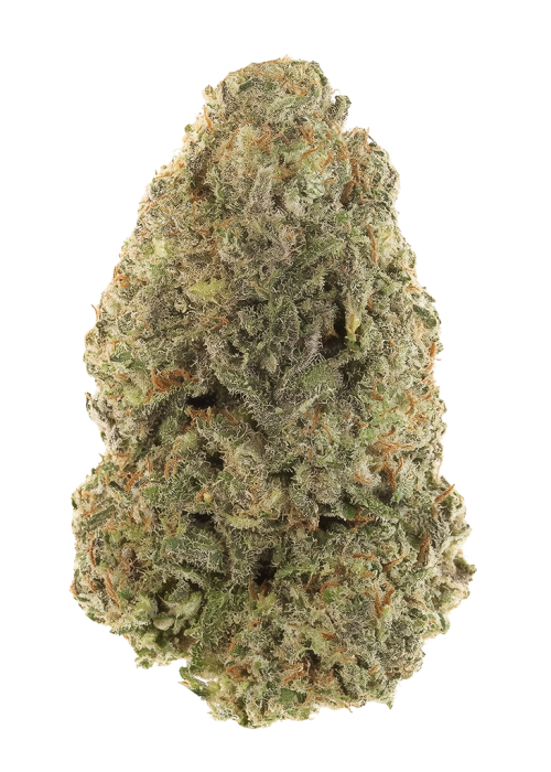 White Fire Alien OG