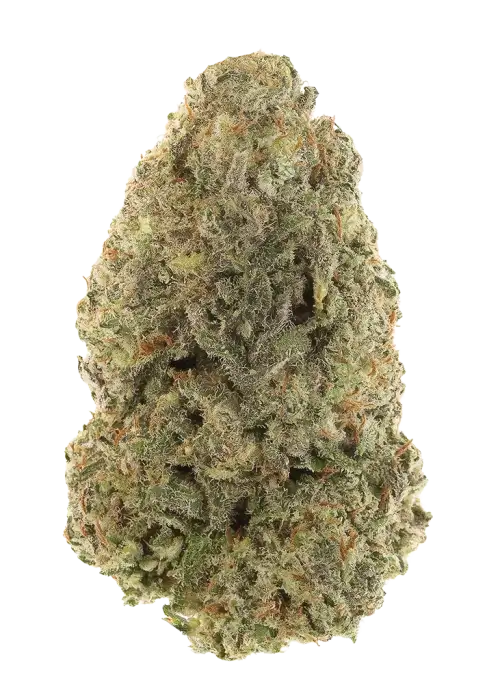 White Fire Alien OG