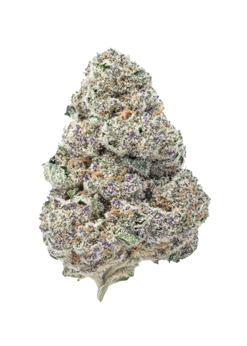 Ice