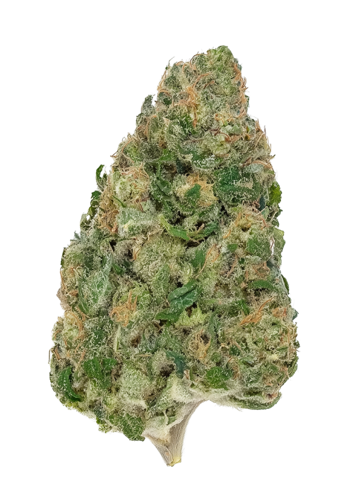 Lemon Jeffery