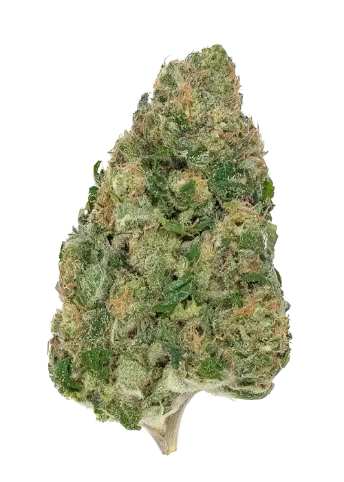 Lemon Jeffery