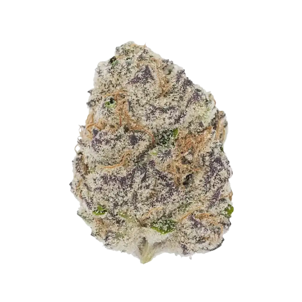 4Z's Cannabis Strain Information - GrowDiaries