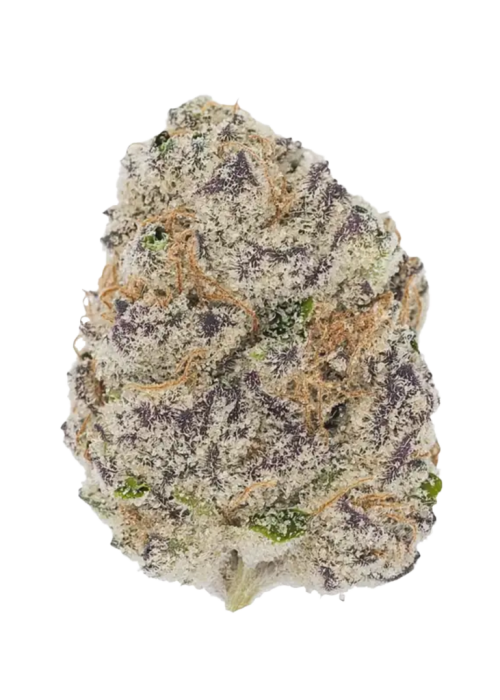 Cherry Punch