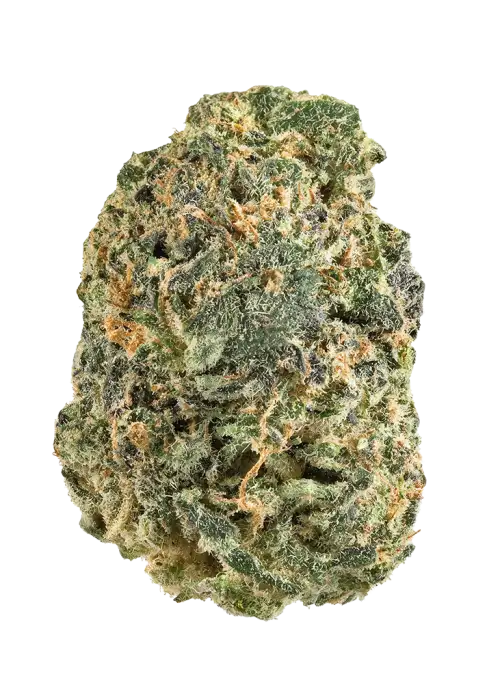Las Vegas Triangle Kush