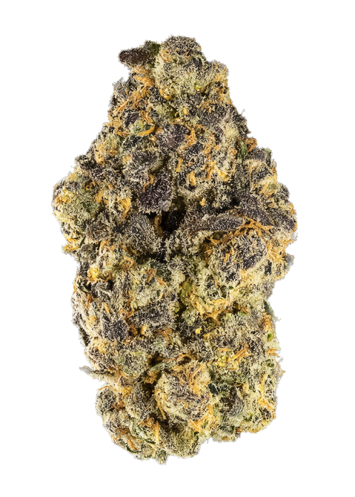 Blue Java