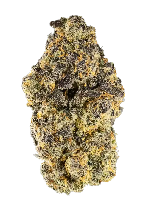 Blue Java