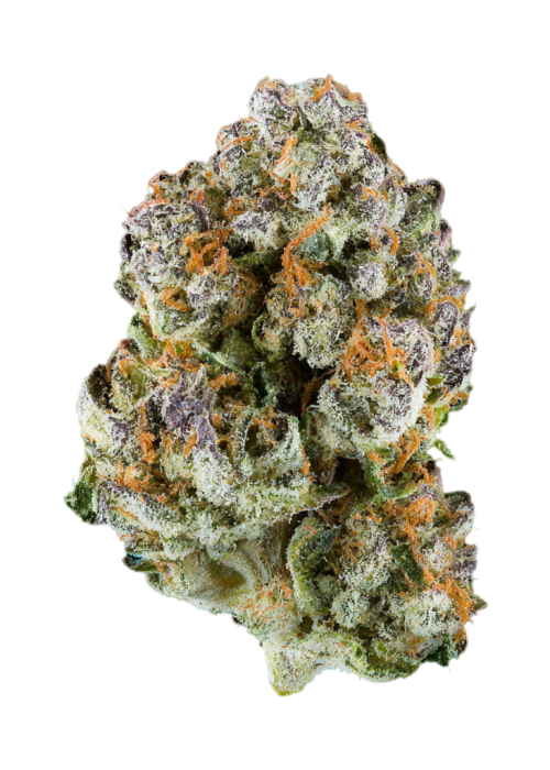 Monkey Glue