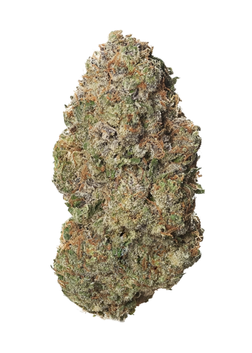 Mango Sapphire