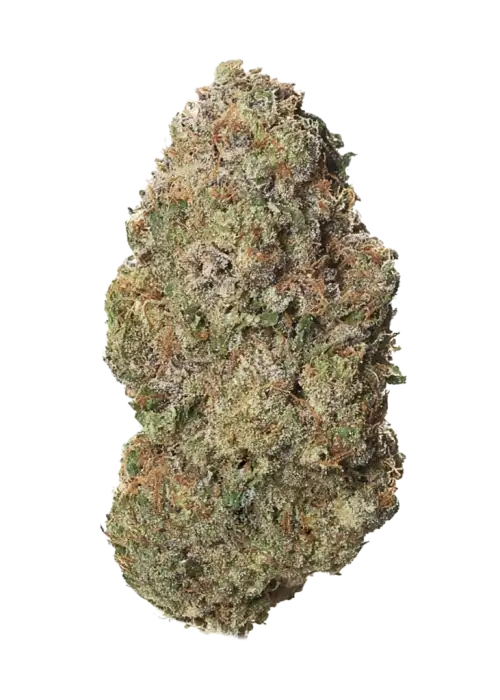 Mango Sapphire