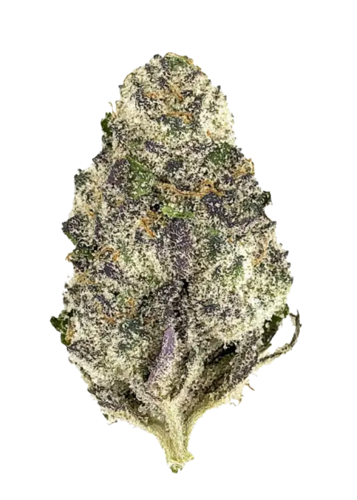 Super Boof