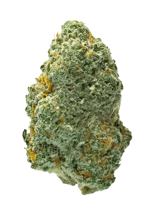 Strawberry Gum