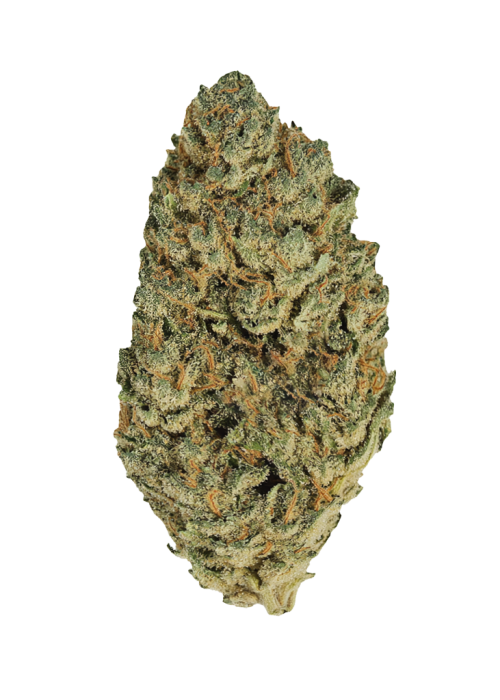 Orange Cookies