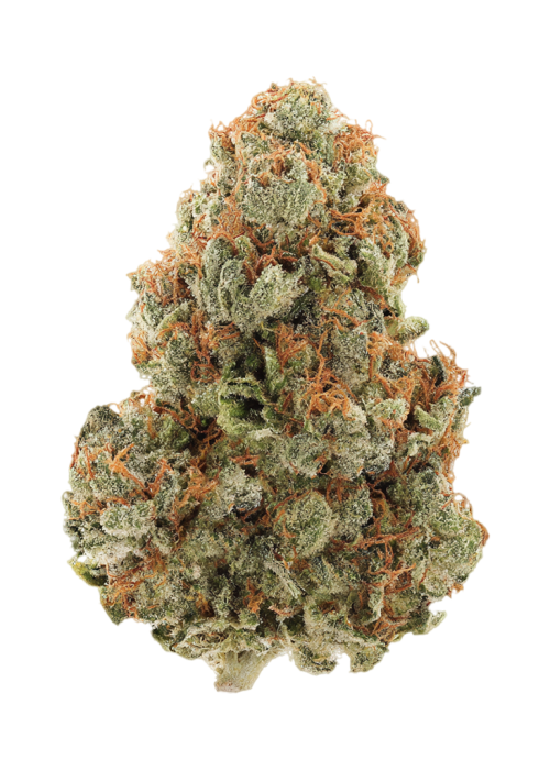 Peach Kush
